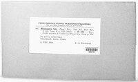 Melampsora lini image